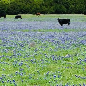 Meet your Posher, Tia